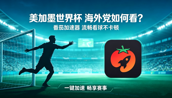 在加拿大看世界杯直播当前IP受限制教程