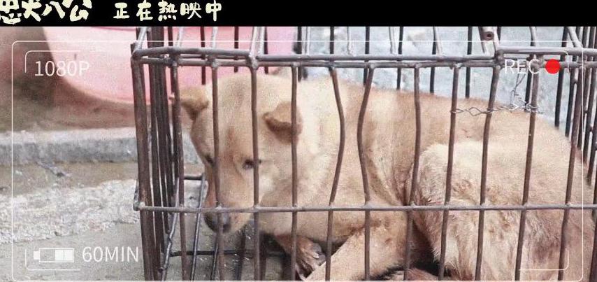 腾讯体育会员海外教程