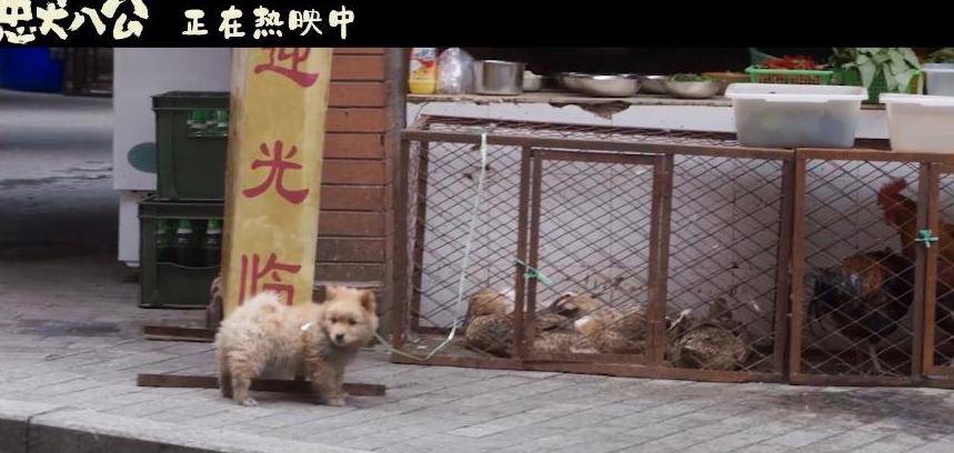 腾讯体育会员海外教程